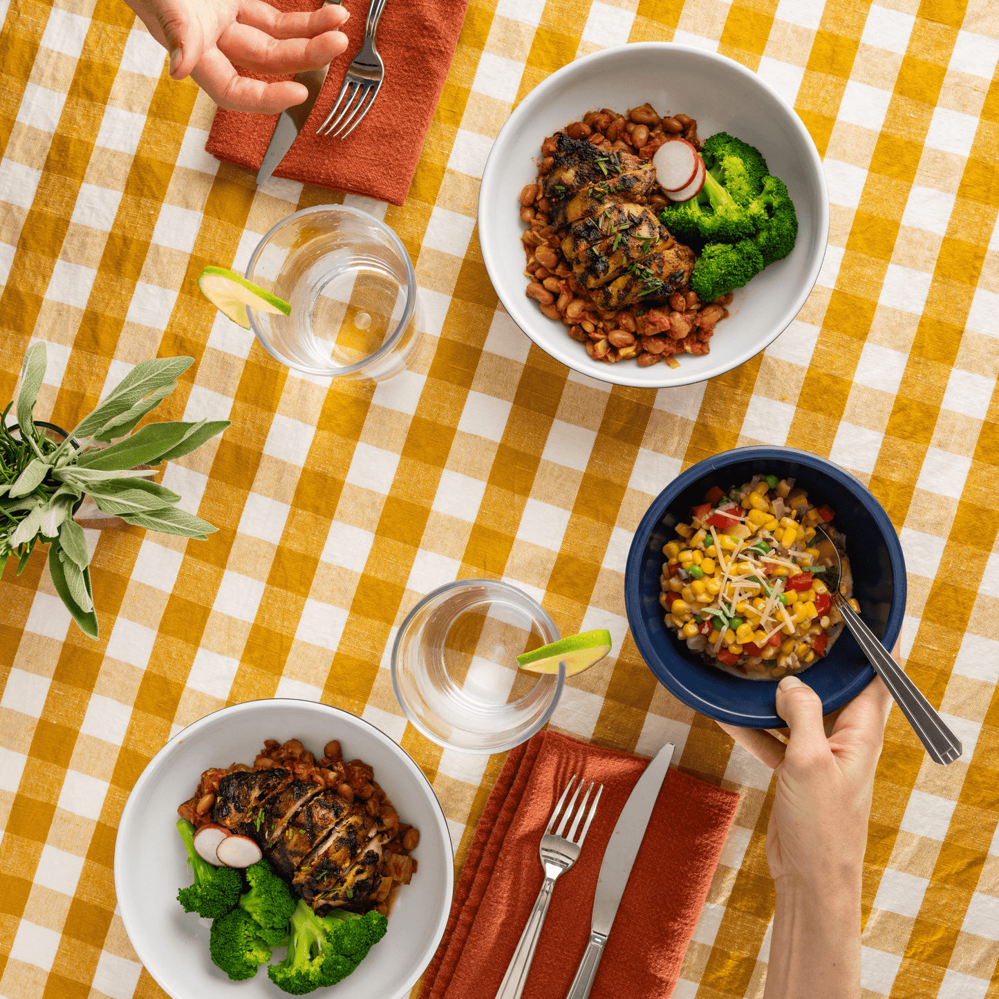 Meal of the Week - Subscription